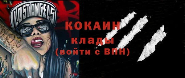 прущие грибы Аркадак
