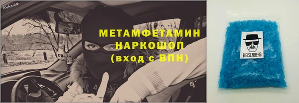 прущие грибы Аркадак