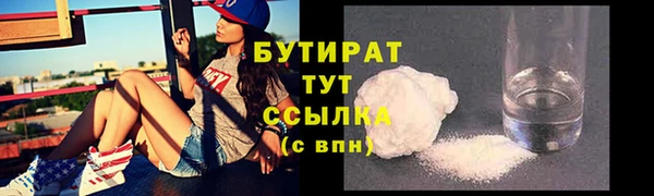 прущие грибы Аркадак