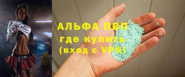 прущие грибы Аркадак