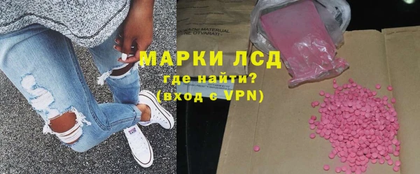 прущие грибы Аркадак