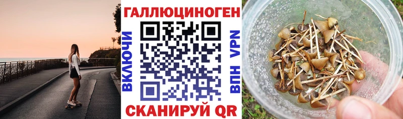 Псилоцибиновые грибы мухоморы  shop какой сайт  Солнечногорск 